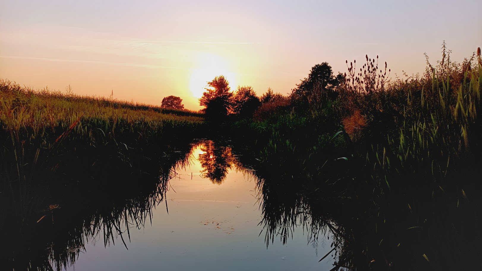 Rzeka jako ekosystem
